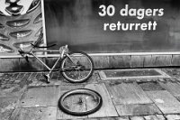 20 - 30 DAYS - DANNEELS NADIA - belgium